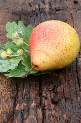 Image showing Ripe PEAR