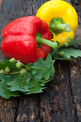 Image showing Sweet pepper and oak leaf