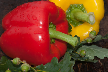 Image showing Sweet pepper and oak leaf