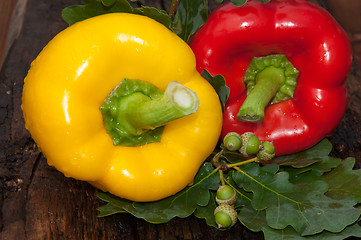 Image showing Sweet pepper and oak leaf