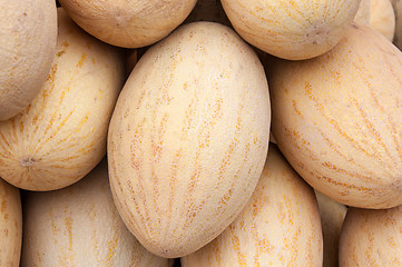 Image showing Melon sold at the Bazaar