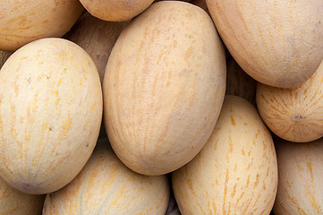 Image showing Melon sold at the Bazaar