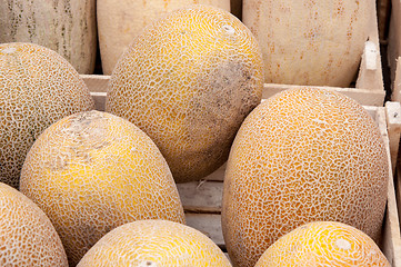 Image showing Melon sold at the Bazaar