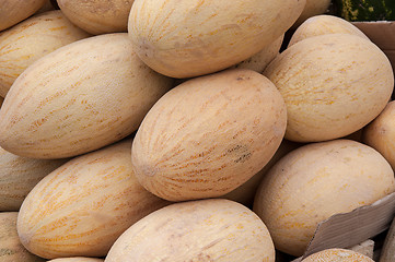 Image showing Melon sold at the Bazaar