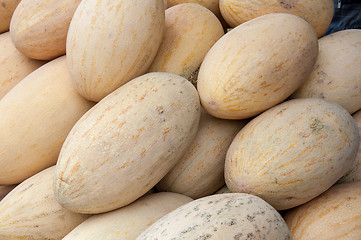 Image showing Melon sold at the Bazaar