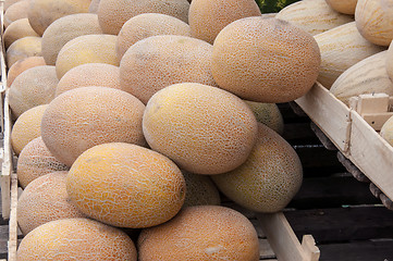 Image showing Melon sold at the Bazaar