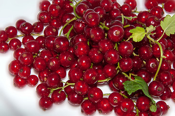 Image showing Red currant