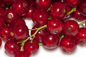 Image showing Red currant