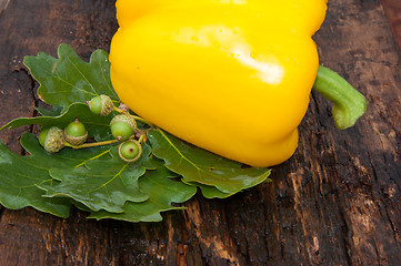 Image showing Sweet pepper yellow