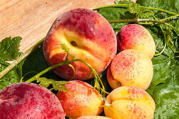 Image showing Peach and apricot