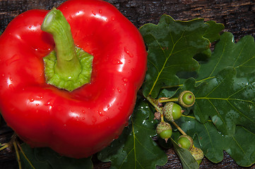 Image showing Sweet pepper Red