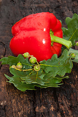 Image showing Sweet pepper Red