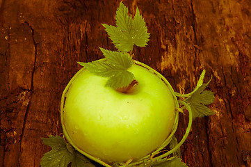 Image showing Apple green