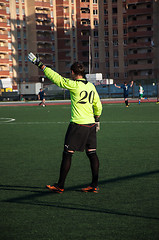 Image showing Soccer game The goalkeeper number 20