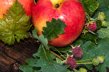 Image showing Apple Red color