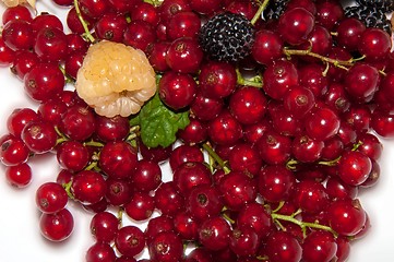 Image showing Assorted Berry,