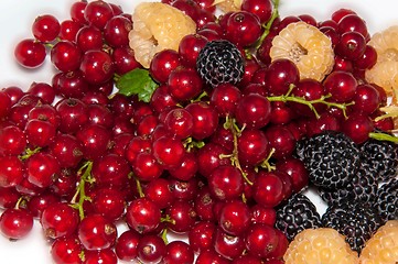 Image showing Assorted Berry,