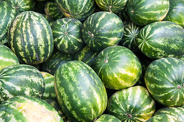 Image showing Watermelon is sold at the Bazaar