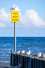 Image showing Groin in the Baltic Sea with warning table and gulls