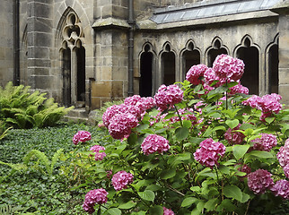 Image showing monastery garden