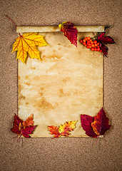 Image showing Old paper with autumn leaves
