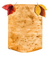 Image showing Old paper with autumn leaves, autumn note