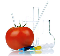 Image showing Genetically modified organism 