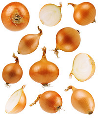 Image showing Set onions