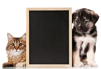 Image showing Pets with blackboard