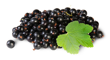 Image showing Bunch Of Black Currant With Leaf Rotated