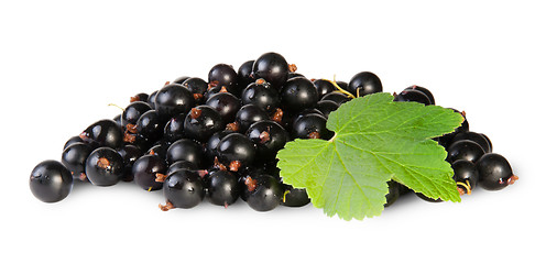 Image showing Bunch Of Black Currant With Leaf