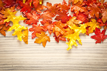 Image showing foliage, autumn leaves