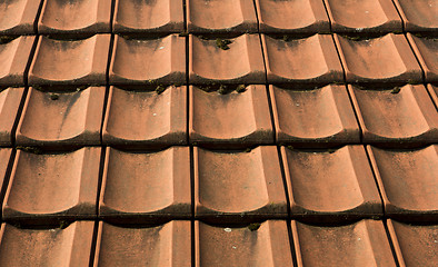 Image showing roof tiles