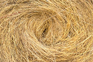 Image showing Hay bails on the field