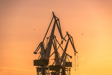 Image showing Industrial cargo cranes in the dock