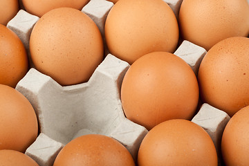 Image showing Missing chicken egg