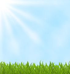 Image showing Summer background with green field and sky