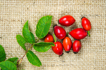 Image showing Rosehips with green leaves