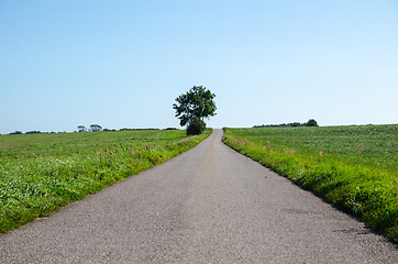 Image showing Country road through green fields