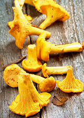 Image showing Fresh Raw Chanterelles 