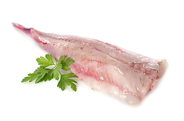 Image showing monkfish