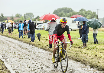 Image showing The Cyclist Daniel Navarro Garcia on a Cobbled Road - Tour de Fr