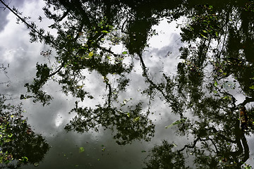 Image showing Dirty Swimming Pool