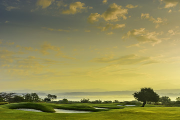 Image showing Golf Greens