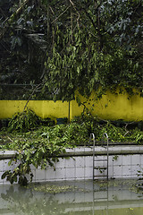 Image showing Dirty Swimming Pool