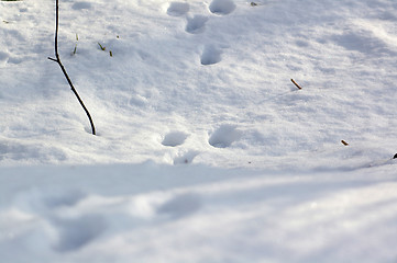 Image showing Footprints