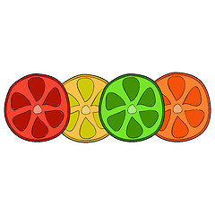 Image showing Bright citrus slices