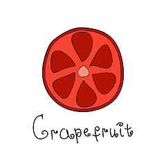 Image showing Doodle grapefruit slice