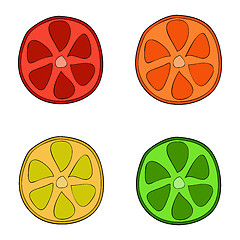 Image showing Doodle style citrus slices