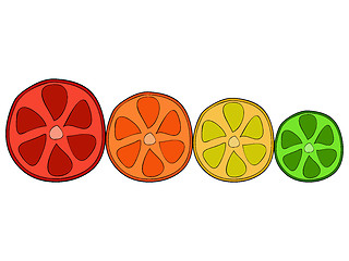 Image showing Doodle citrus slices